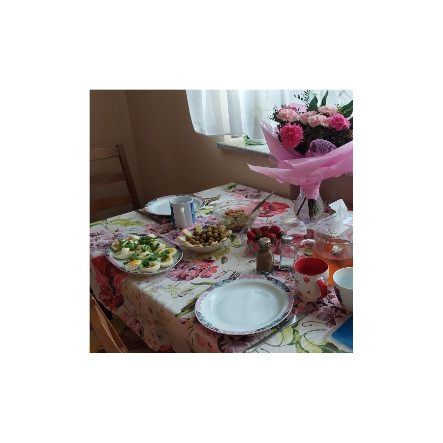 Obrus plamoodporny Minos 411189-104 O1, prostokątny