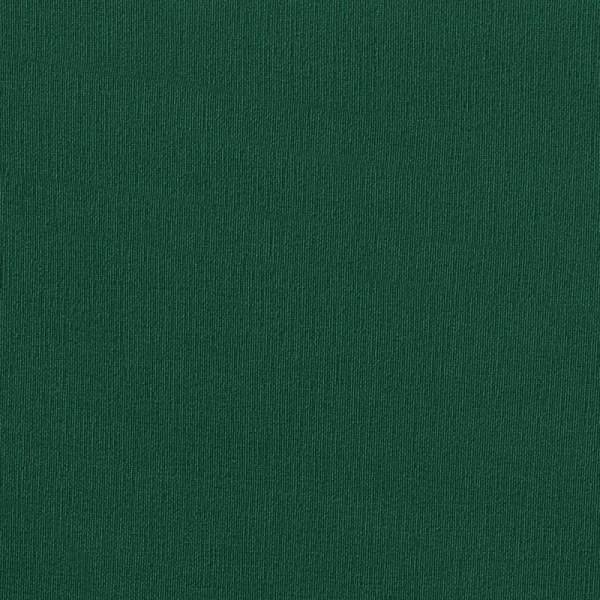 Próbka tkaniny Maxima ciemnozielona (6719)