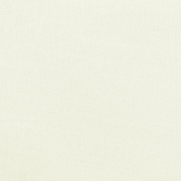 Próbka tkaniny Maxima ecru (6069)