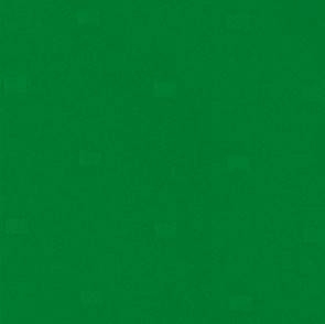 3046 ciemny zielony